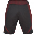 Under Armour Short Under Armour Seamless - 1306401-016