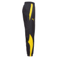 Puma Pantalon de survêtement Puma JOGGING TRAINING BVB PREMATCH