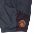 Puma Short Puma MCFC TRAINING