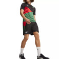 Puma Short Puma FRMF WOV