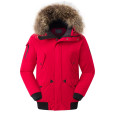 Helvetica Blouson Helvetica Femme ANCHORAGE RACCOON EDITION