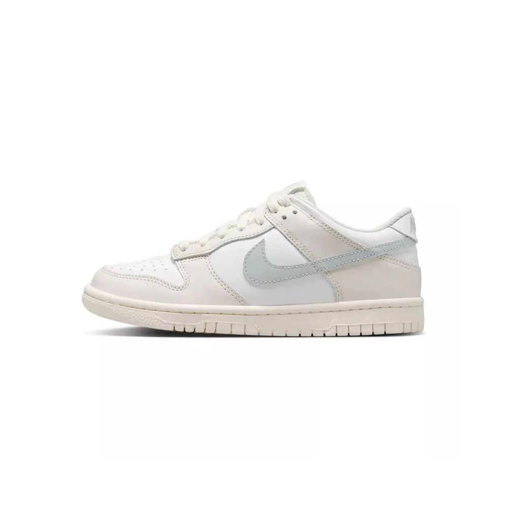 Nike Basket Nike DUNK LO GS