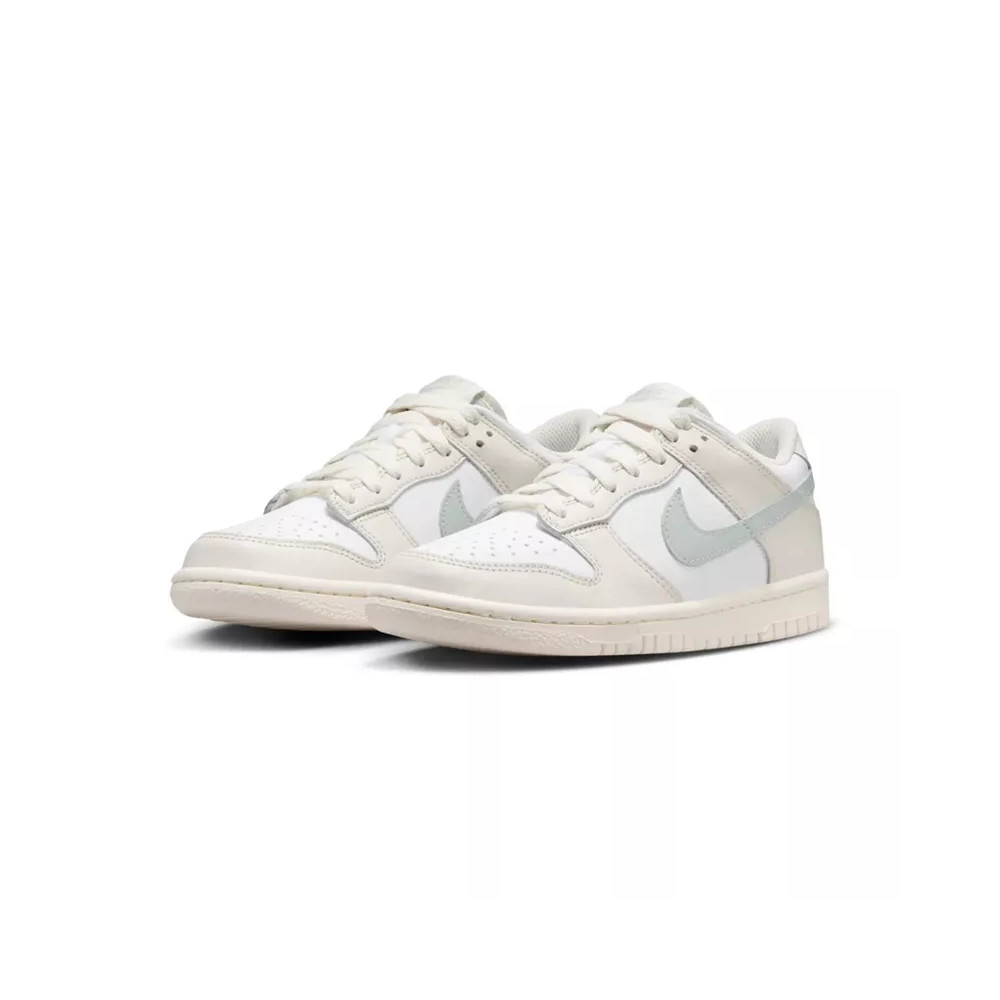 Nike Basket Nike DUNK LO GS