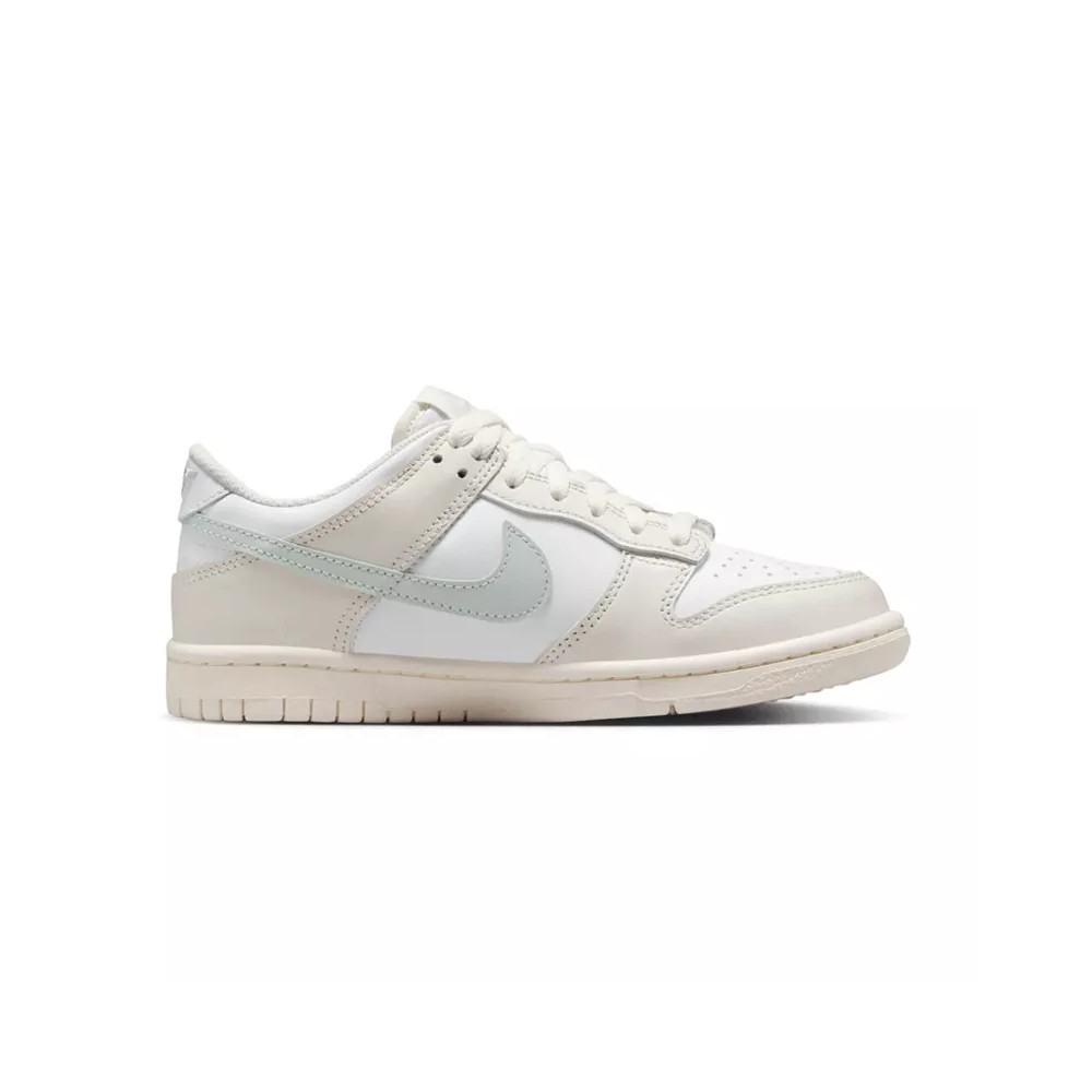Nike Basket Nike DUNK LO GS
