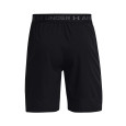 Under Armour Under Armour UA VANISH WOVEN 8in Shorts