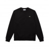 SH1505-C31