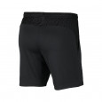 Nike Short Nike ACADEMY PRO