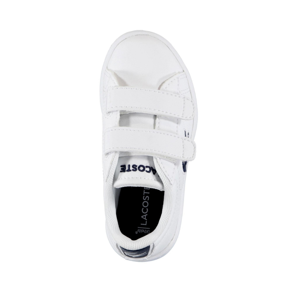 Lacoste Basket Lacoste Carnaby Evo 318 1 SPI Cadet - 736SPI0001042