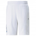 Puma Short Puma FD BMW MMS Statement