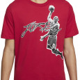 Nike Tee-shirt Nike JORDAN AIR DRI-FIT