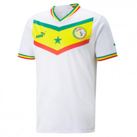 Puma Maillot Puma Senegal Home 22/23 Replica