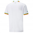 Puma Maillot Puma Senegal Home 22/23 Replica