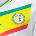 Puma Maillot Puma Senegal Home 22/23 Replica
